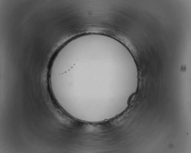 X0000102030346200808081817