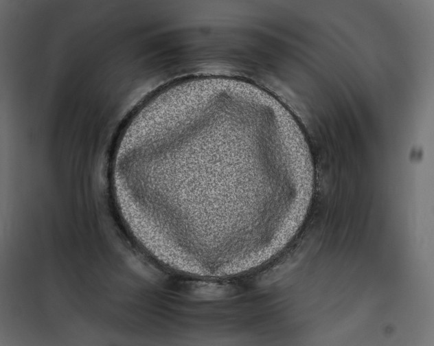 X0000102030347200808081817