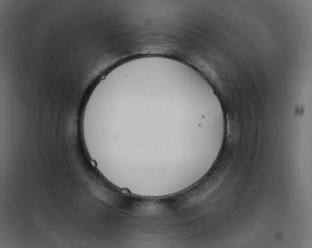 X0000102030348200808081817