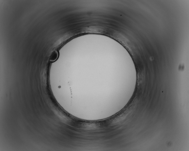 X0000102030349200808081817