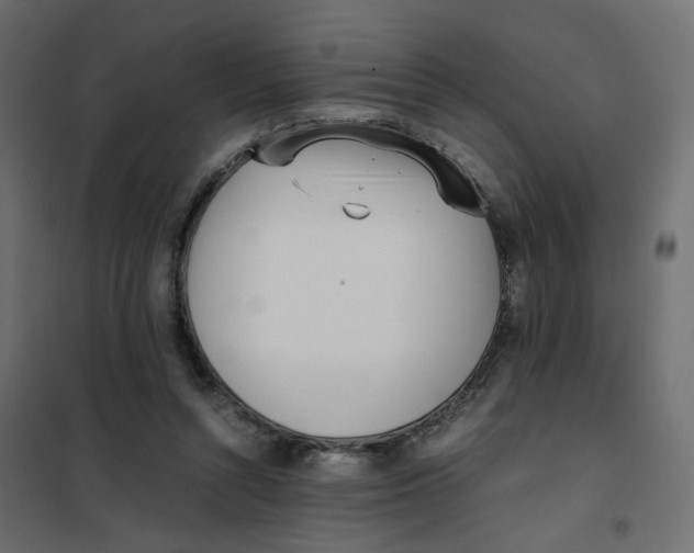 X0000102030352200808081817