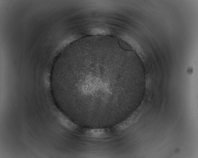 X0000102030353200808081817