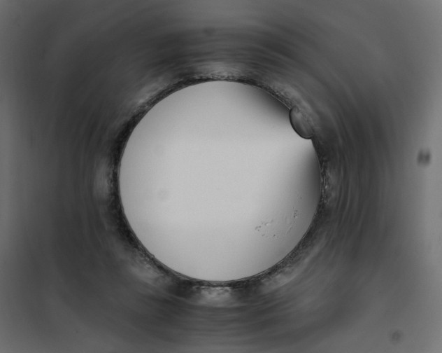 X0000102030355200808081817