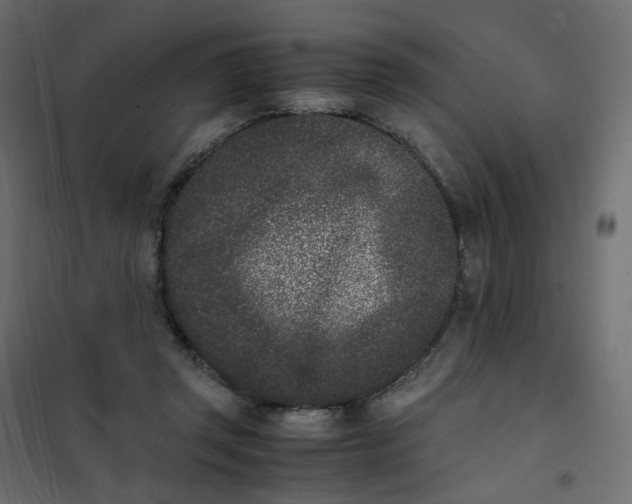 X0000102030357200808081817