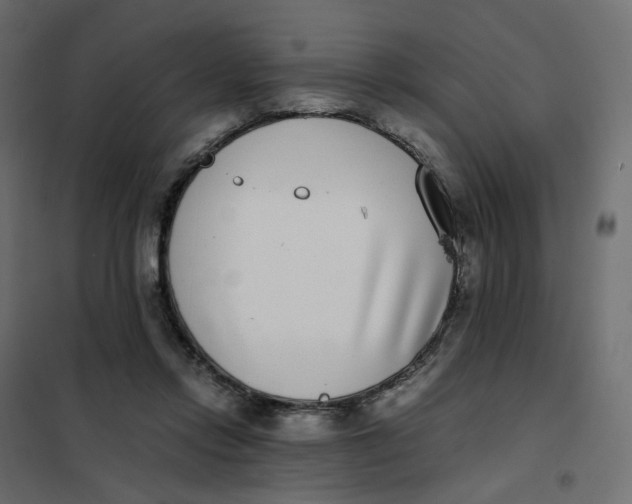 X0000102030358200808081817