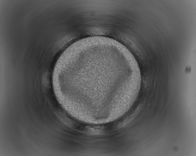 X0000102030359200808081817