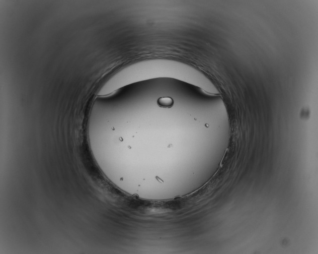 X0000102030360200808081817