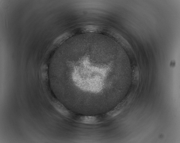 X0000102030361200808081817