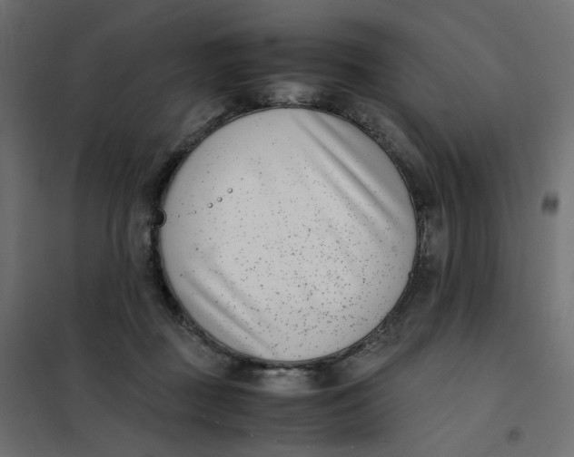 X0000102030363200808081817