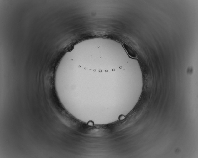 X0000102030364200808081817