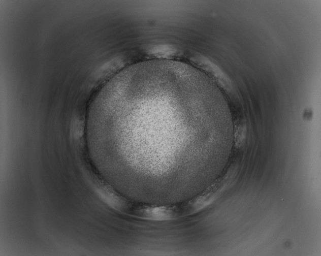 X0000102030365200808081817