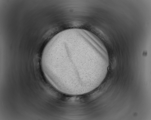 X0000102030366200808081817