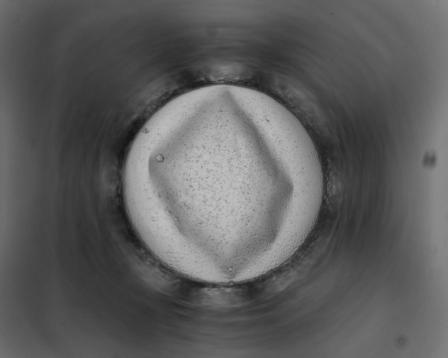 X0000102030367200808081817