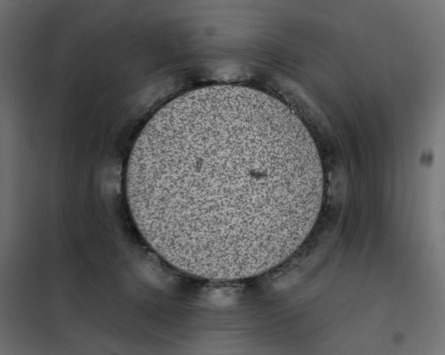 X0000102030368200808081817