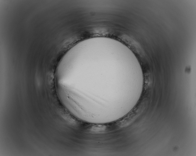 X0000102030369200808081817