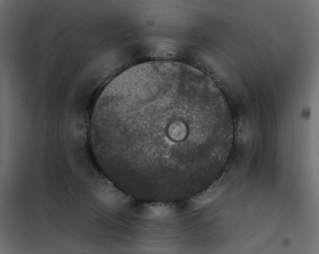 X0000102030370200808081818