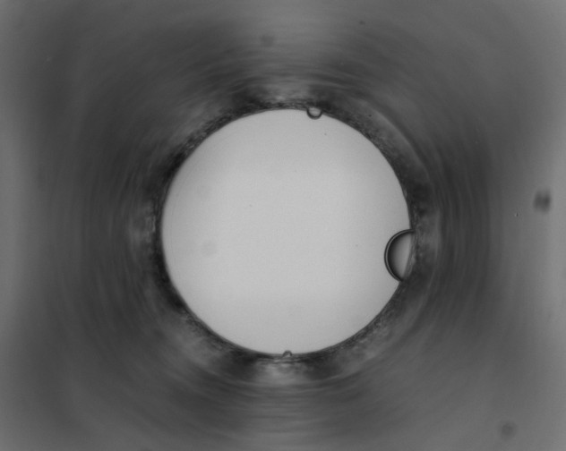 X0000102030372200808081818