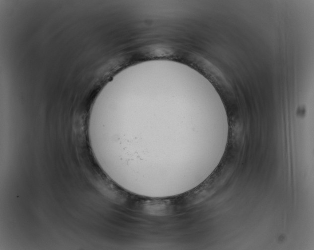 X0000102030373200808081818