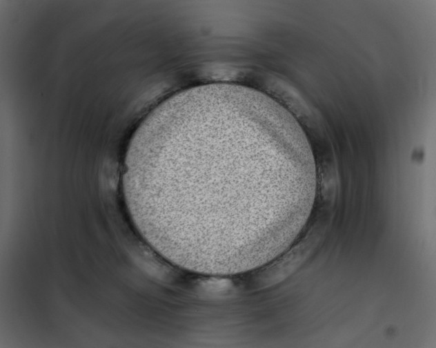 X0000102030374200808081818