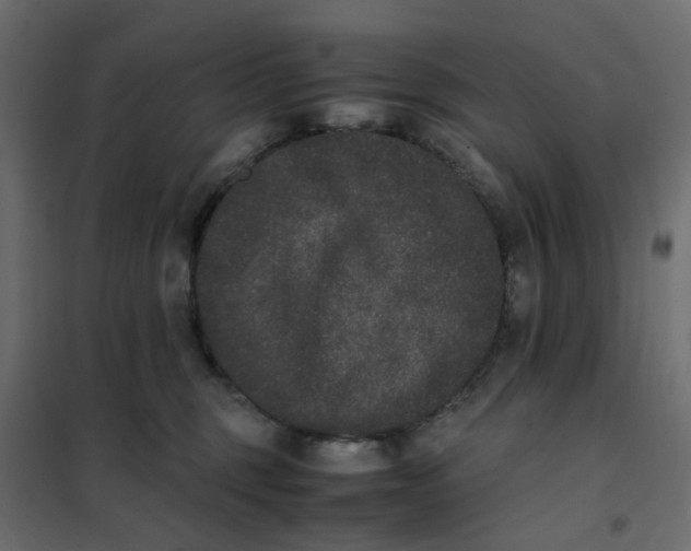 X0000102030375200808081818