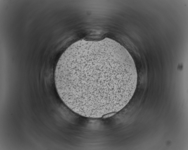 X0000102030376200808081818