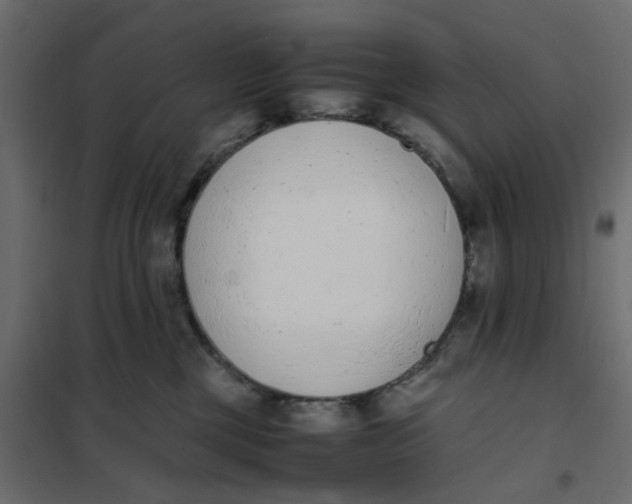 X0000102030377200808081818