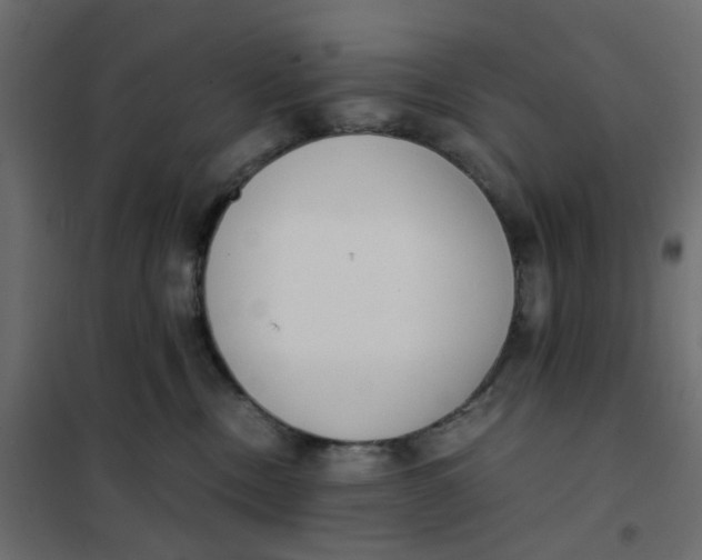 X0000102030378200808081818