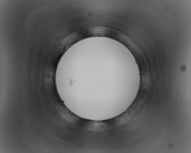 X0000102030379200808081818