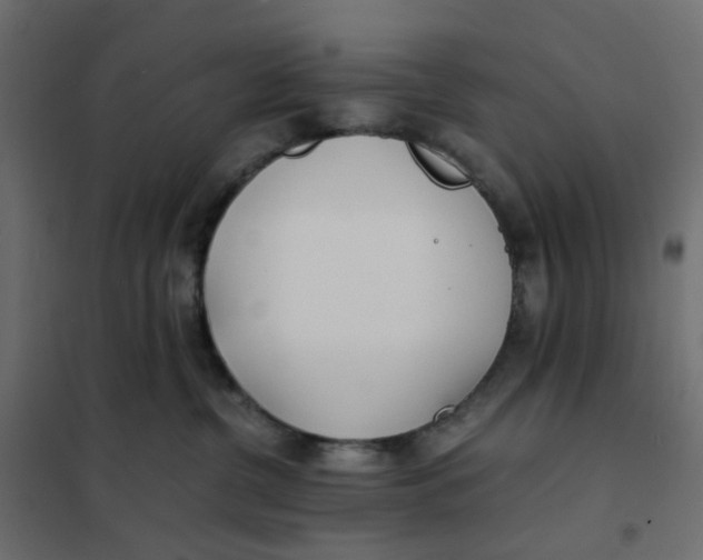 X0000102030380200808081818