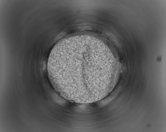 X0000102030382200808081818