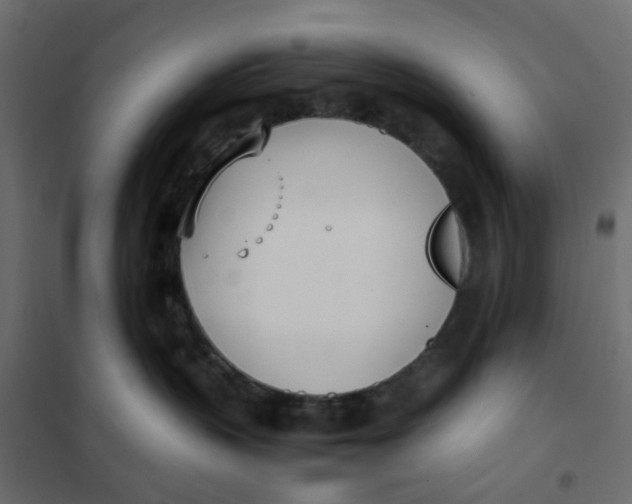 X0000102030383200808081818