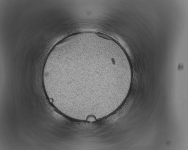 X0000102030385200808081817