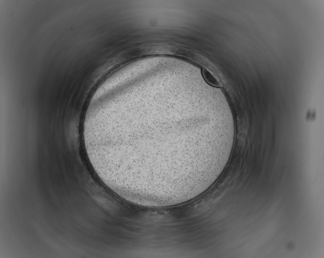 X0000102030386200808081817