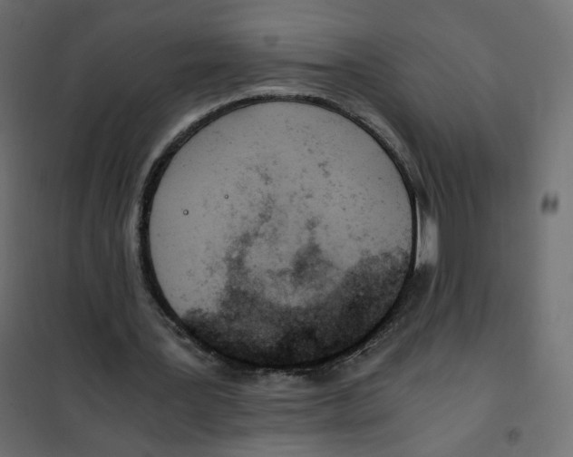 X0000102030387200808081817