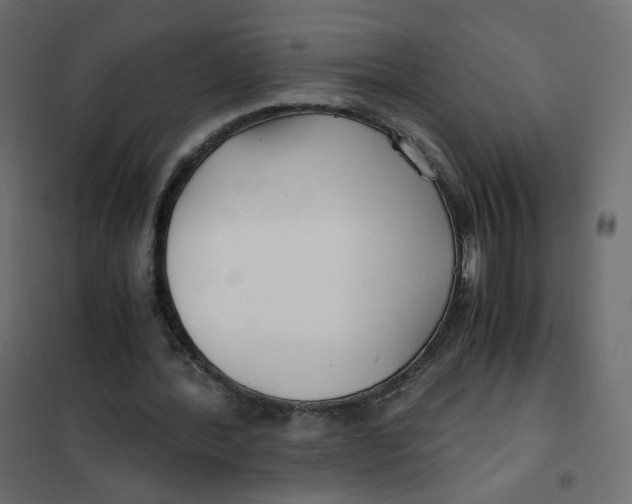 X0000102030388200808081817