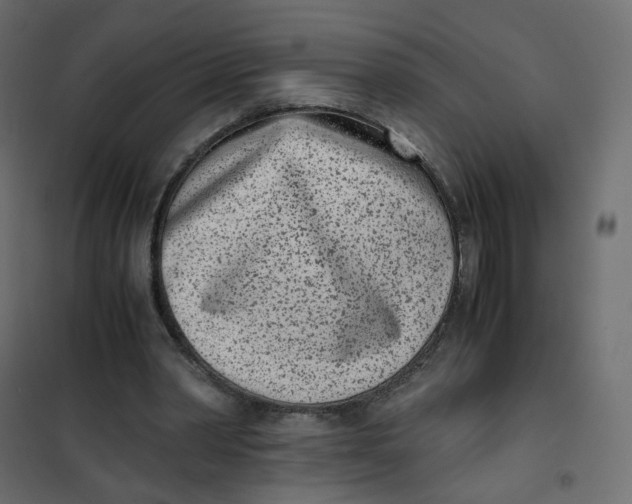 X0000102030390200808081817