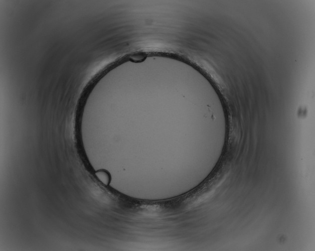 X0000102030391200808081817