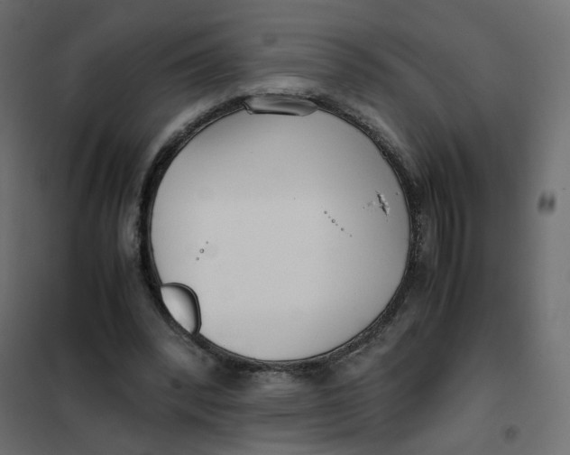 X0000102030392200808081817