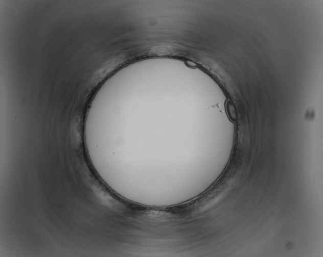 X0000102030393200808081817