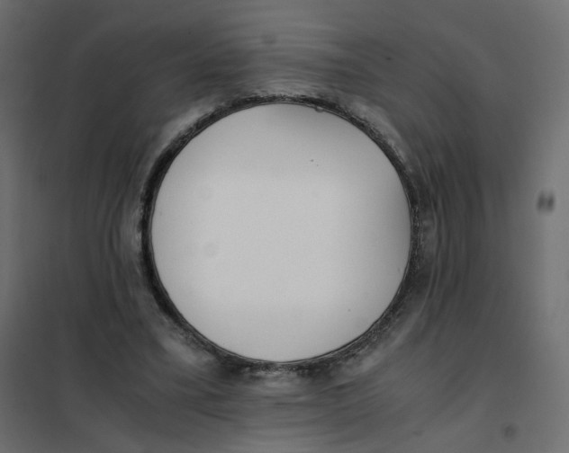 X0000102030395200808081817