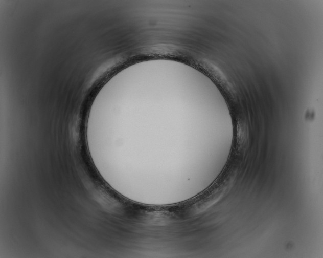 X0000102030396200808081817