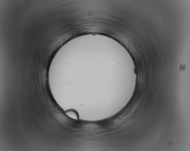 X0000102030397200808081817