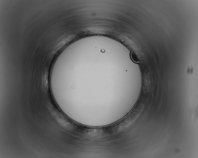 X0000102030398200808081817