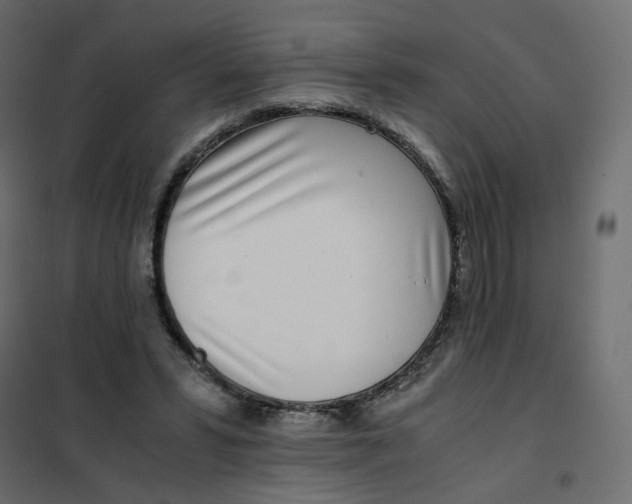 X0000102030399200808081817