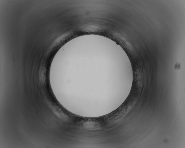 X0000102030400200808081817