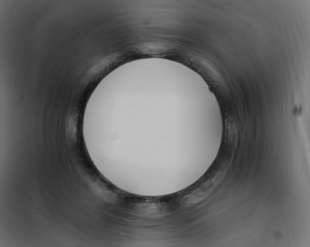 X0000102030404200808081817