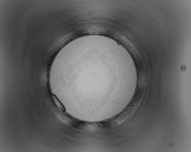 X0000102030405200808081817