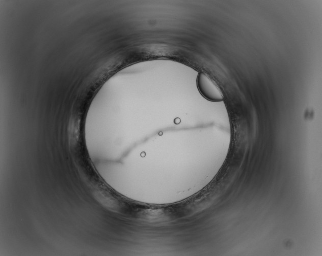 X0000102030406200808081817