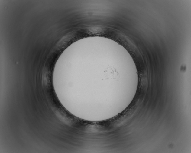 X0000102030408200808081817