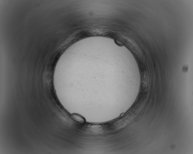 X0000102030409200808081817